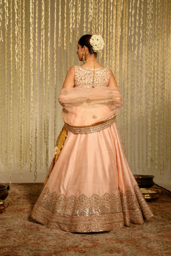 Pink Aasiya Lehenga Set- back view