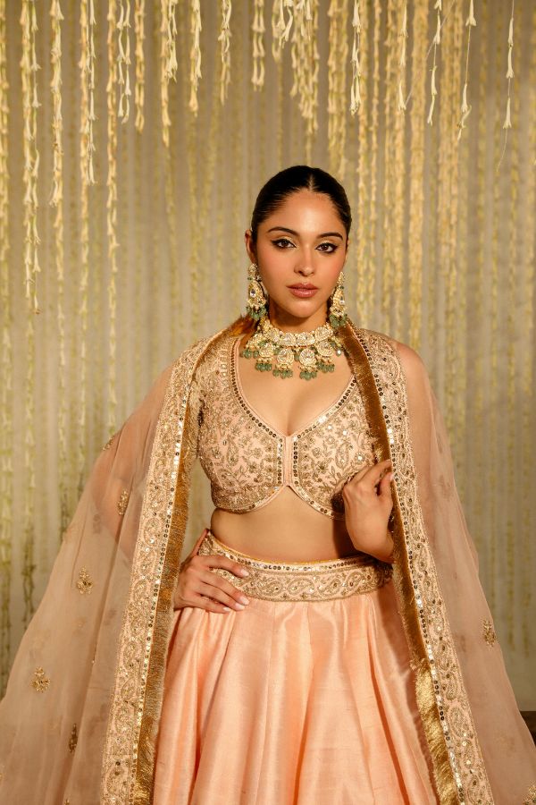 Pink Aasiya Lehenga Set- front view